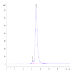 Human VSIG8 Protein (VSG-HM208)