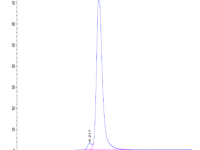 Human VSIG8 Protein (VSG-HM208)