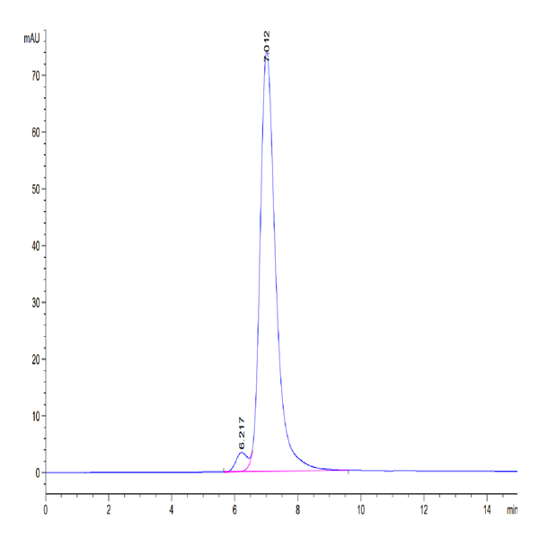 Human VSIG8 Protein (VSG-HM208) Human VSIG8 Protein (VSG-HM208)