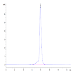 Human VSTM5 Protein (VSM-HM205)
