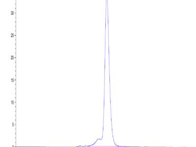 Human VSTM5 Protein (VSM-HM205)