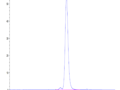 Mouse VSTM5 Protein (VSM-MM205)