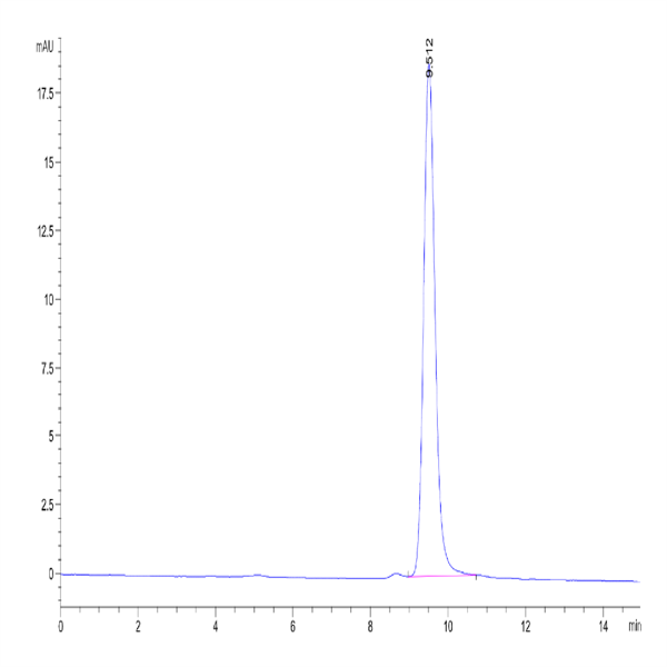Human Vitronectin Protein (VTN-HM101)