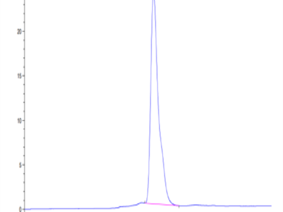 Varicella-zoster virus (strain Oka vaccine) Envelope glycoprotein E Protein (VZV-VM10E)