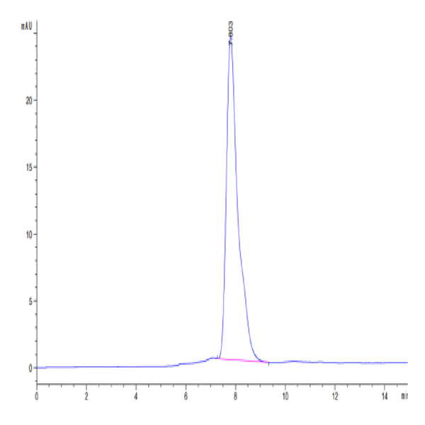 Varicella-zoster virus (strain Oka vaccine) Envelope glycoprotein E Protein (VZV-VM10E) Varicella-zoster virus (strain Oka vaccine) Envelope glycoprotein E Protein (VZV-VM10E)