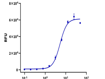 Human Wnt Surrogate-Fc Fusion Protein (WNT-HM23A)