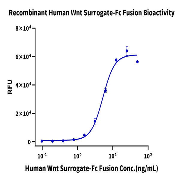 Human Wnt Surrogate-Fc Fusion Protein (WNT-HM23A) Human Wnt Surrogate-Fc Fusion Protein (WNT-HM23A)