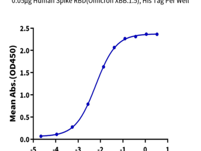 SARS-CoV-2 Spike RBD (Omicron XBB.1.5) Protein (XBB-HM115)