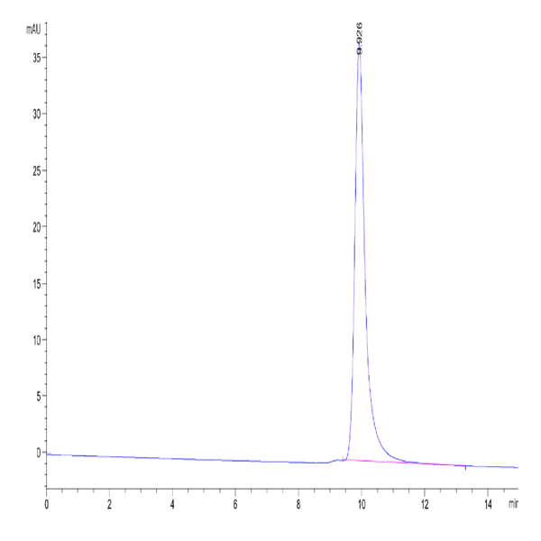 SARS-CoV-2 Spike RBD (Omicron XBB.1.5) Protein (XBB-HM115)