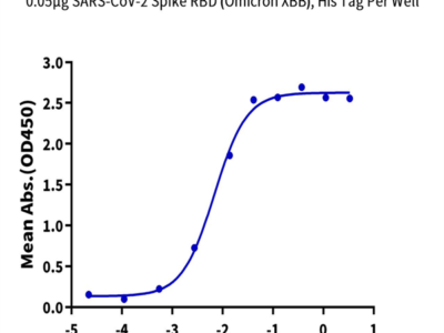 SARS-CoV-2 Spike RBD (Omicron XBB) Protein (XBB-HM1BD)