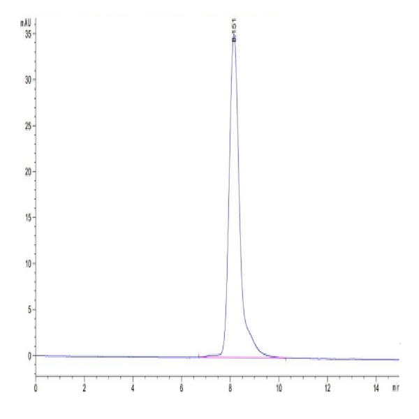 Human XPNPEP2 Protein (XPP-HM101) Human XPNPEP2 Protein (XPP-HM101)