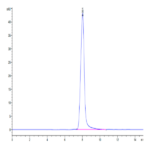 Mouse XPNPEP2 Protein (XPP-MM101)