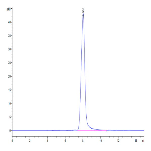 Mouse XPNPEP2 Protein (XPP-MM101) Mouse XPNPEP2 Protein (XPP-MM101)