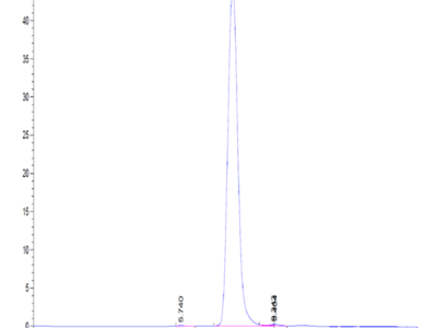 Rat XPNPEP2 Protein (XPP-RM101)