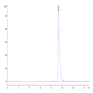 Human YKL-40/CHI3L1 Protein (YKL-HM140)