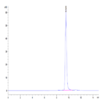 Mouse YKL-40/CHI3L1 Protein (YKL-MM140)