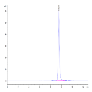 Mouse YKL-40/CHI3L1 Protein (YKL-MM140)