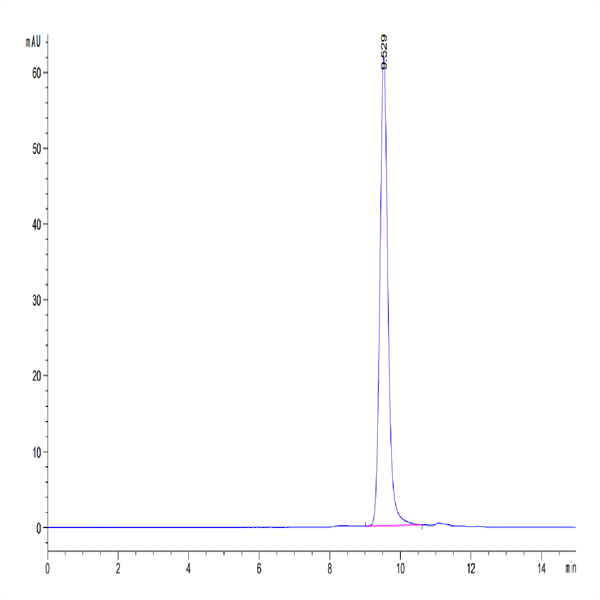 Mouse YKL-40/CHI3L1 Protein (YKL-MM140) Mouse YKL-40/CHI3L1 Protein (YKL-MM140)