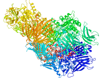 Durvalumab Biosimilar C025P.05 Syd Labs