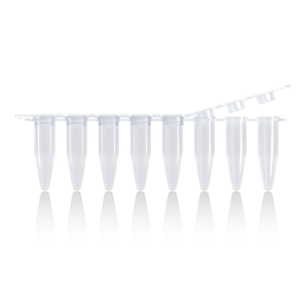 0.2 ml 8-Tube PCR Strips (with Caps) PCR00802-EN