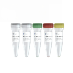 HiScript III RT SuperMix for qPCR (+gDNA wiper) R323