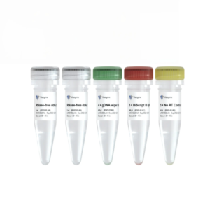 HiScript III RT SuperMix for qPCR (+gDNA wiper) R323
