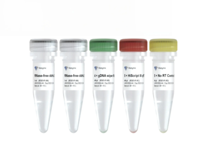 HiScript III RT SuperMix for qPCR (+gDNA wiper) R323