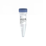 Lipomaster 2000 Transfection Reagent TL201