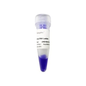 Vazyme 100 bp DNA Ladder (MD104)