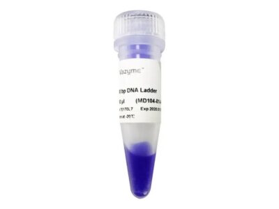 Vazyme 100 bp DNA Ladder (MD104)