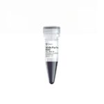 Vazyme 180 kDa Plus Prestained Protein Marker (MP201)