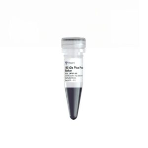 Vazyme 180 kDa Plus Prestained Protein Marker (MP201)