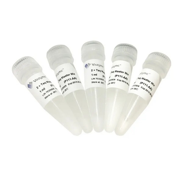 Vazyme 2 × Taq Master Mix (P111) Vazyme 2 × Taq Master Mix (P111)