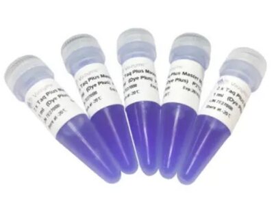 Vazyme 2 × Taq Plus Master Mix (Dye Plus) (P212)
