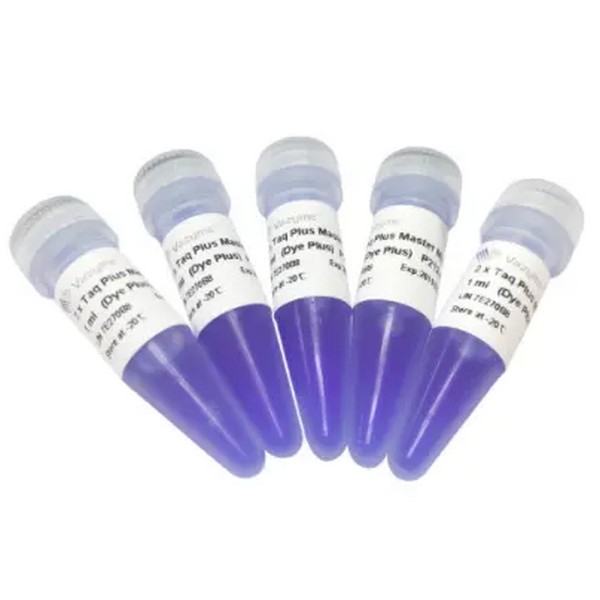 Vazyme 2 × Taq Plus Master Mix (Dye Plus) (P212) Vazyme 2 × Taq Plus Master Mix (Dye Plus) (P212)