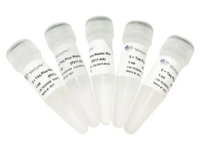 Vazyme 2 × Taq Plus Master Mix (P211)