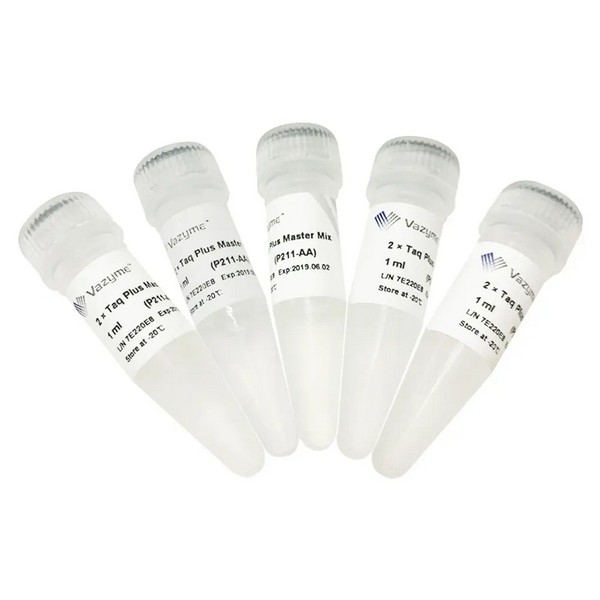 Vazyme 2 × Taq Plus Master Mix (P211)
