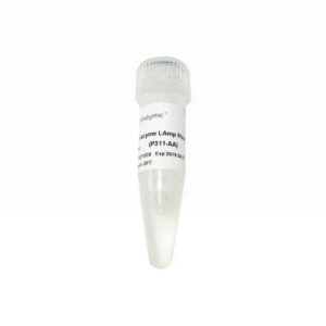 Vazyme 2 × Vazyme LAmp Master Mix (P311)