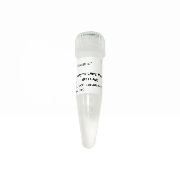 Vazyme 2 × Vazyme LAmp Master Mix (P311) Vazyme 2 × Vazyme LAmp Master Mix (P311)