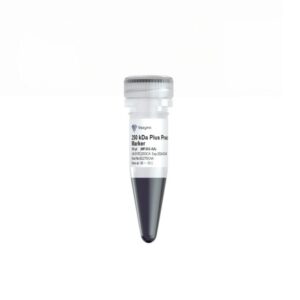 Vazyme 250 kDa Plus Prestained Protein Marker (MP202)