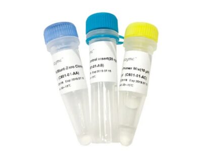 Vazyme 5 min TA/Blunt-Zero Cloning Kit (C601)