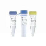 Vazyme 5 min TOPO-Blunt Cloning Kit (C602)