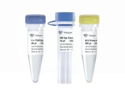 Vazyme 5 min TOPO-Blunt Cloning Kit (C602)