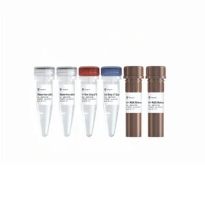Vazyme AccurSTART One Step RT-qPCR Probe Kit (FOR FAST) (Q231-EN)