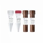 AccurSTART One Step RT-qPCR Super PreMix (ONE TUBE) Q621-EN