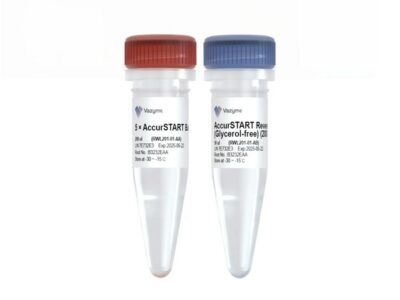 Vazyme AccurSTART Reverse Transcriptase (Glycerol-free) (RWL201)