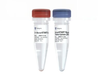 Vazyme AccurSTART Reverse Transcriptase (RW201)