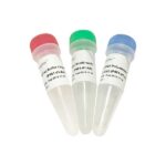 Vazyme AceTaq DNA Polymerase (P401-MD1)