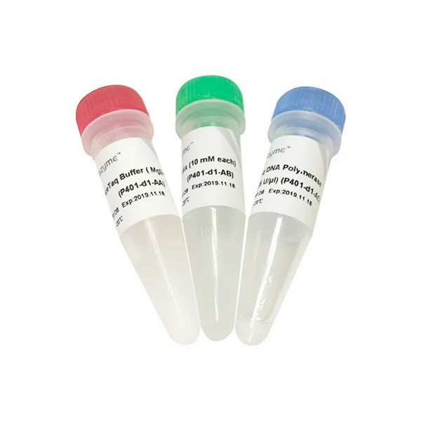 Vazyme AceTaq DNA Polymerase (P401-MD1) Vazyme AceTaq DNA Polymerase (P401-MD1)