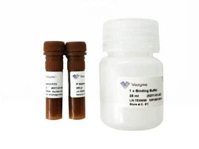 Vazyme Annexin V-FITC/PI Apoptosis Detection Kit (A211)